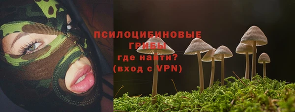 гидра Арсеньев
