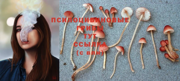 метадон Аркадак