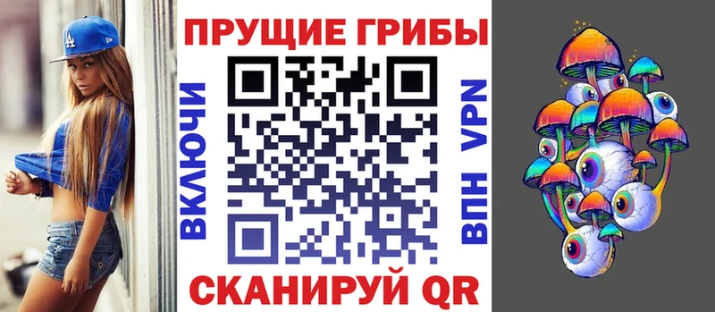 Псилоцибиновые грибы MAGIC MUSHROOMS  где можно купить   Каневская 