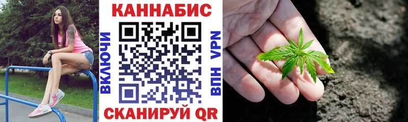 Каннабис план Каневская